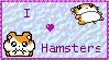 Hamster