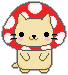 Gatinho cogumelo adotado